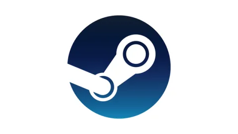 Steam